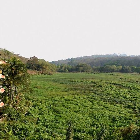 Jungle Palace Homestay เทกคาดี ภายนอก รูปภาพ