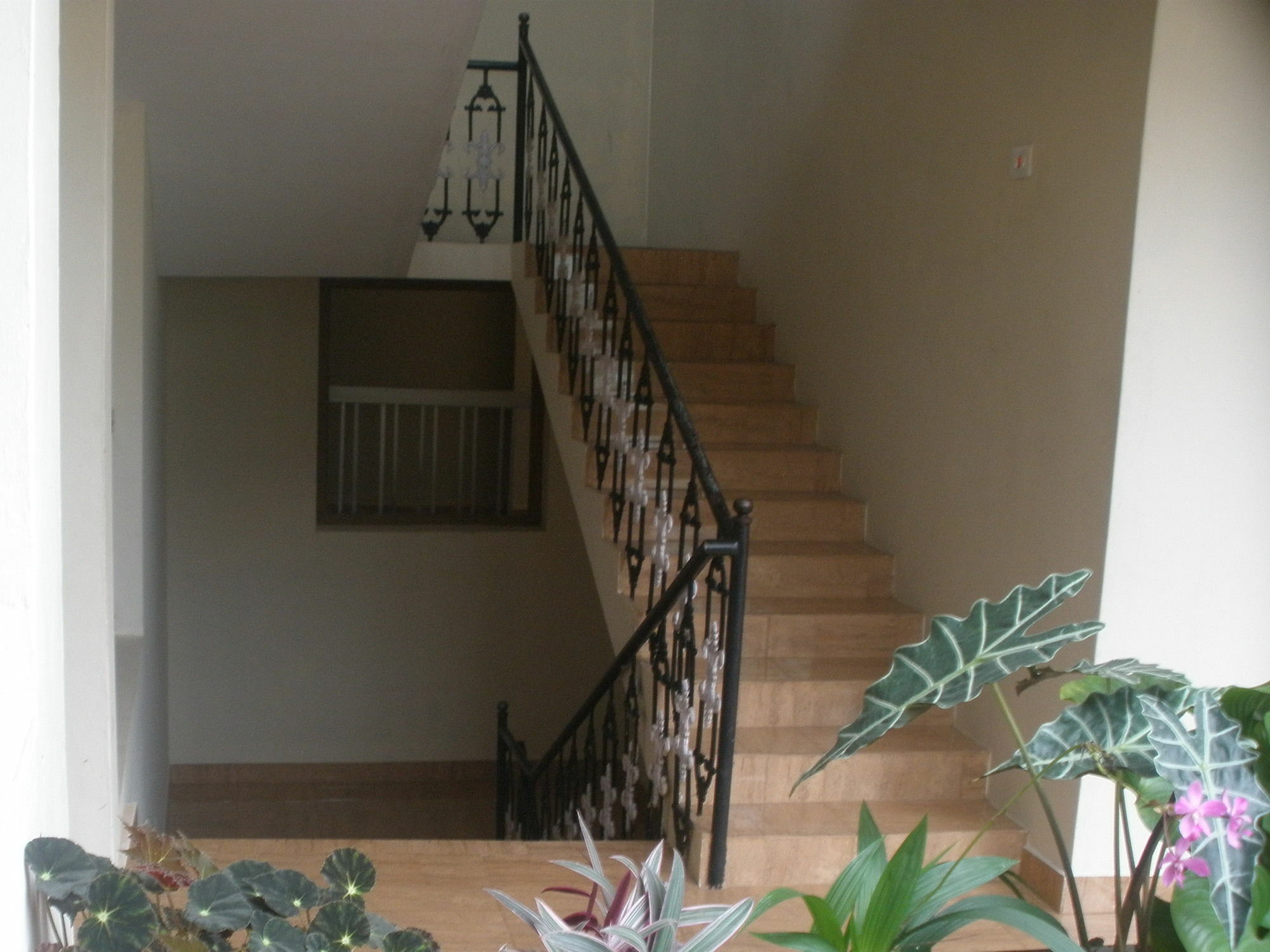 Jungle Palace Homestay เทกคาดี ภายนอก รูปภาพ